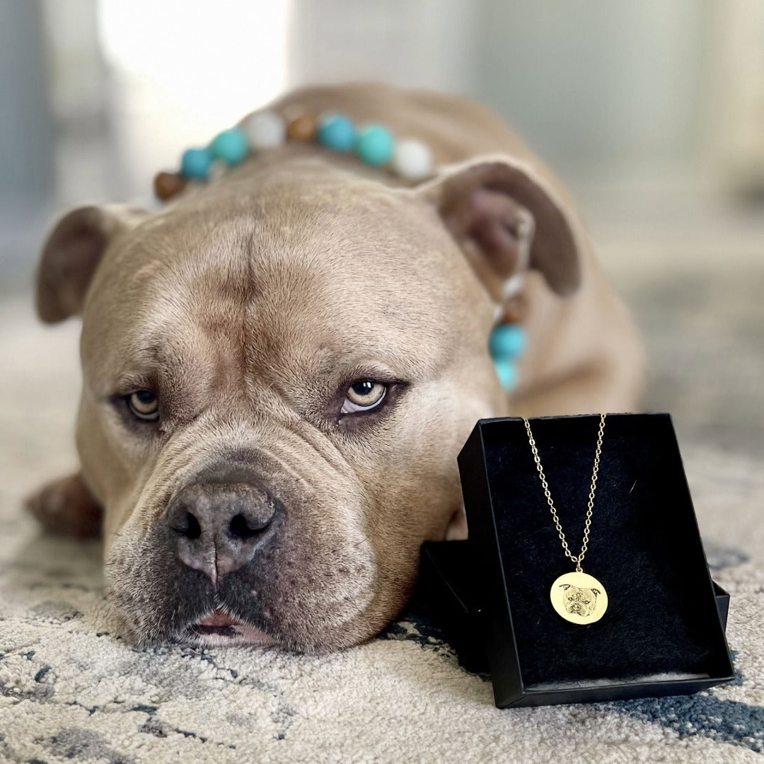 Custom Engraved Pet Portrait Necklace
