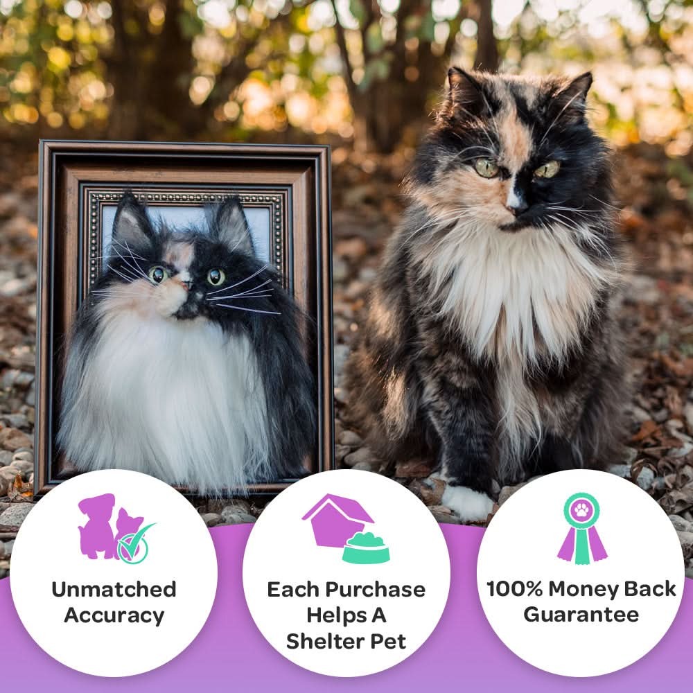 Wholesale Framed Plush Pet Portrait