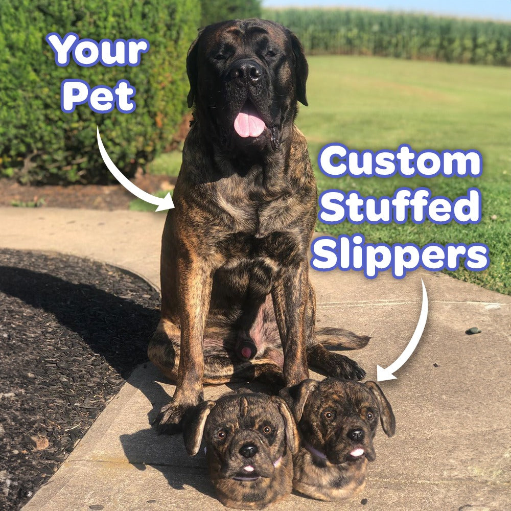 Wholesale Plush Slippers