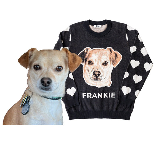 Heart Sleeve Custom Knit Pet Sweater