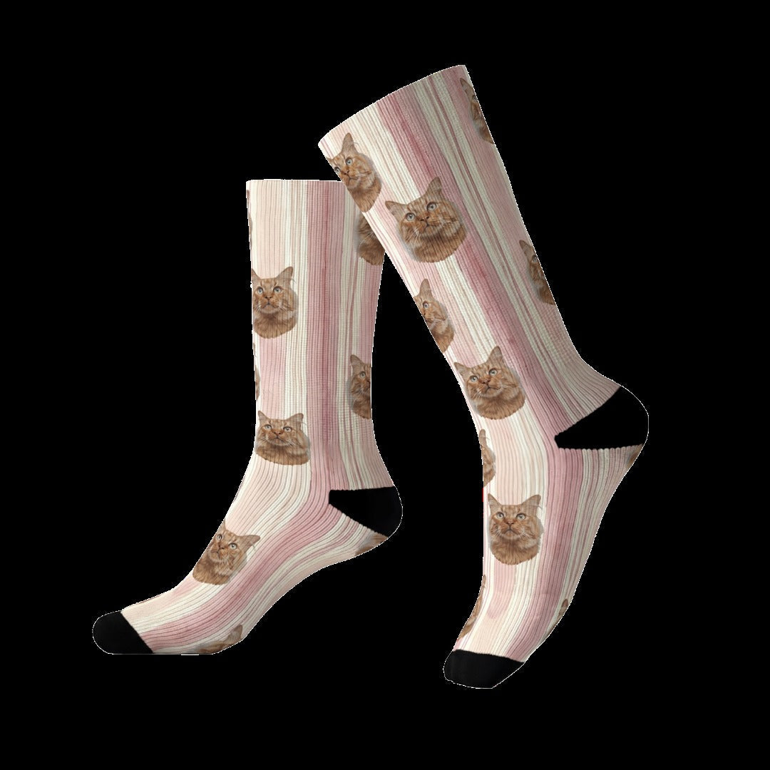 Custom Illustrated Pet Socks