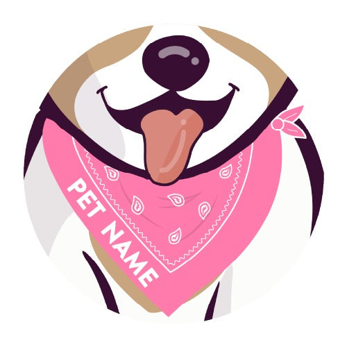 Custom Pet Bandana