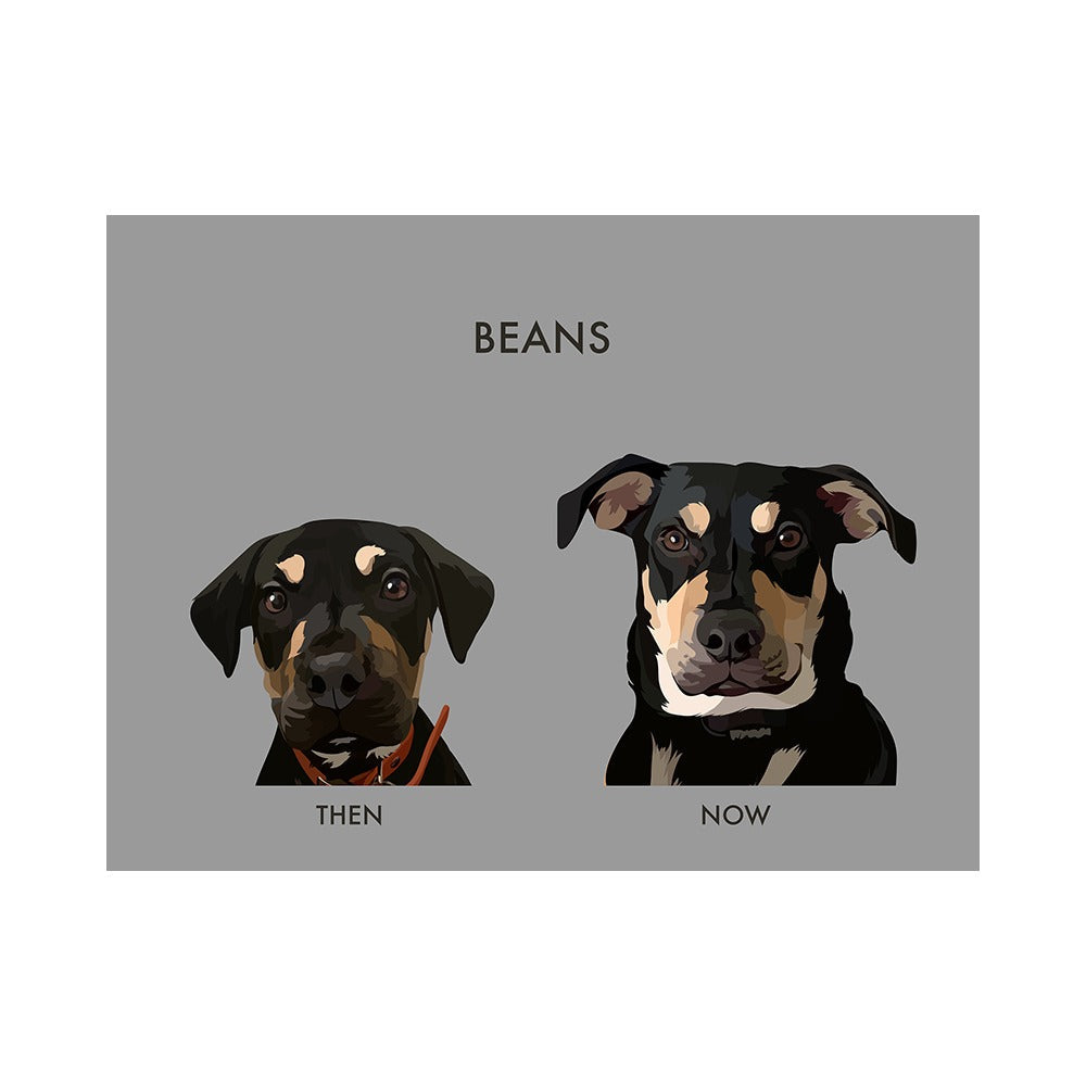 Custom Then vs Now Pet Portrait