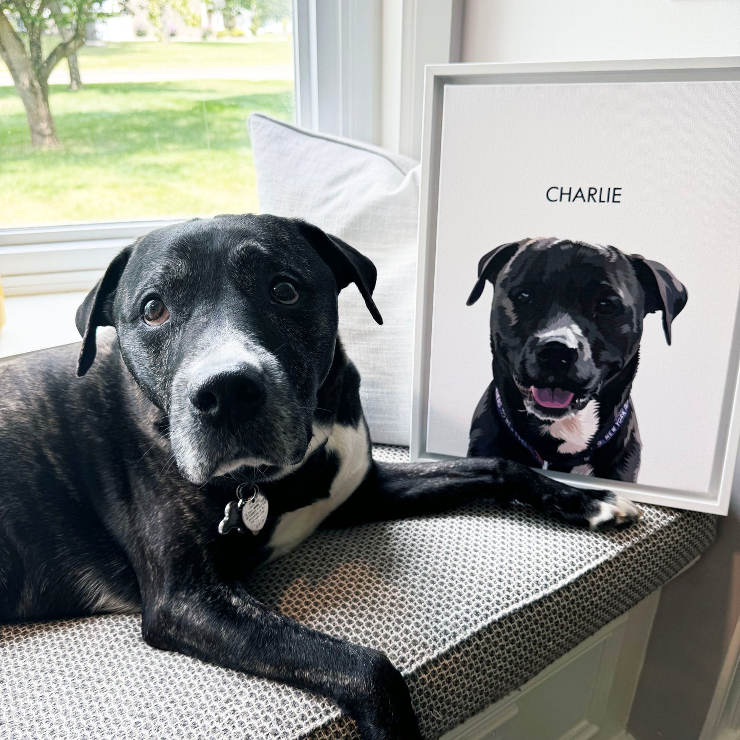 Custom Three Pet Portrait