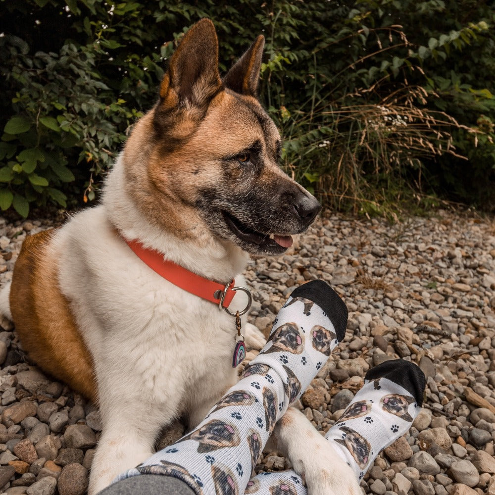 Custom Pet Socks