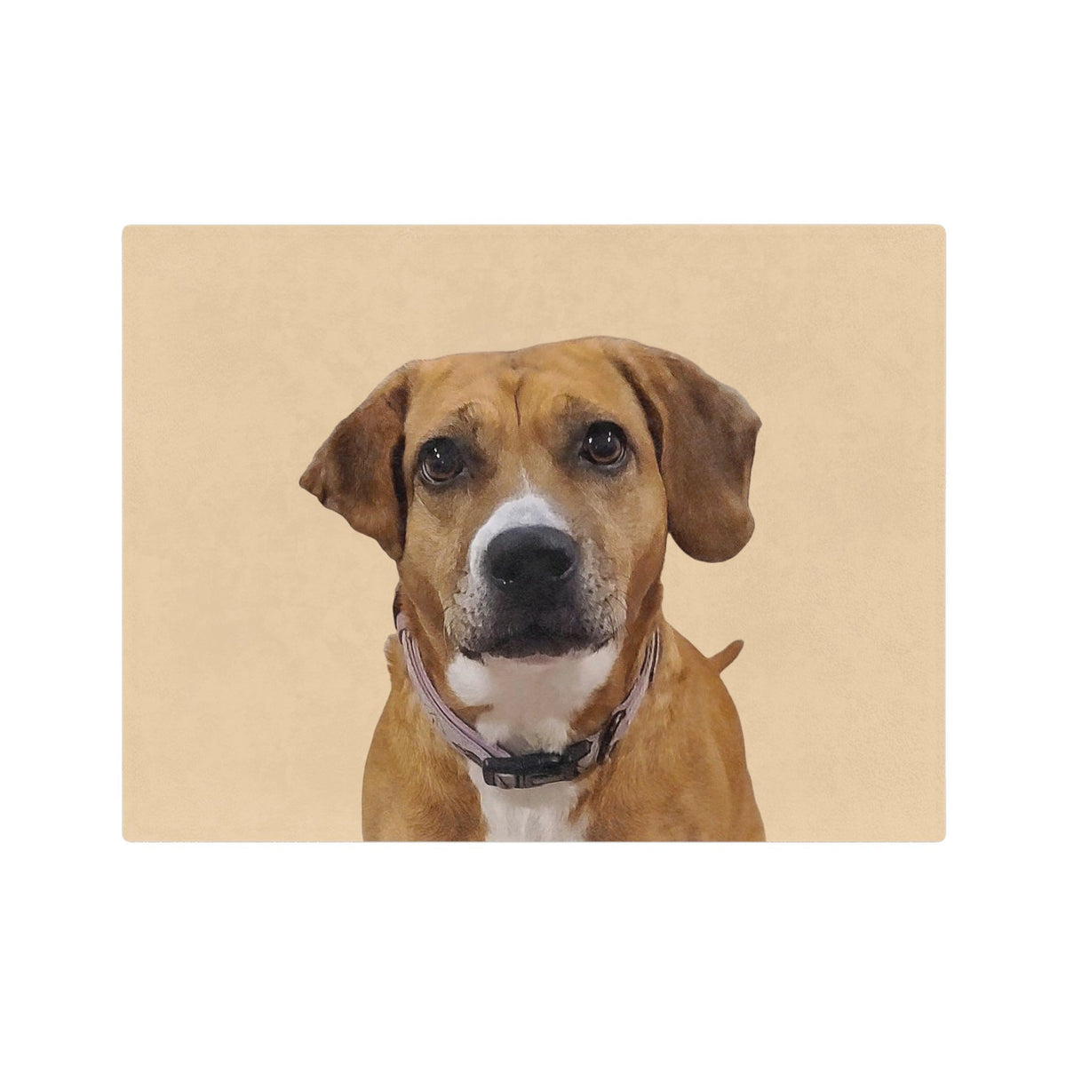 Customized Pet Art Blanket - 1 Pet