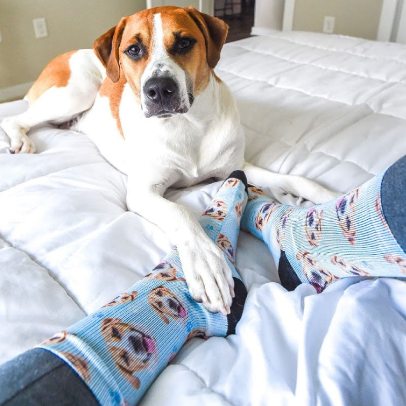 Custom Pet Socks