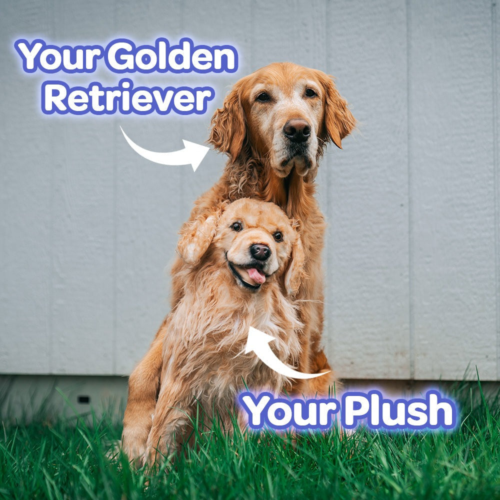 Custom Golden Retriever Plush Cuddle Clone