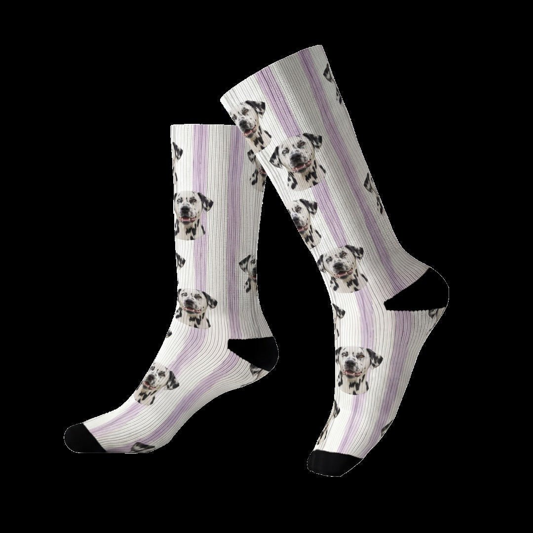 Custom Illustrated Pet Socks