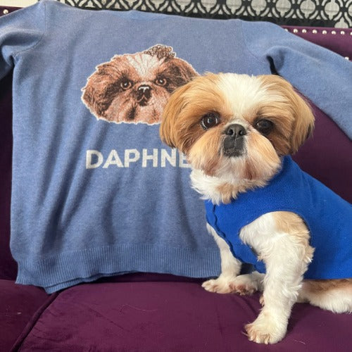 Custom Knit Pet Sweater