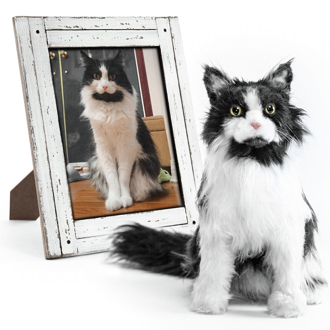 Custom Cat Plush Cuddle Clone