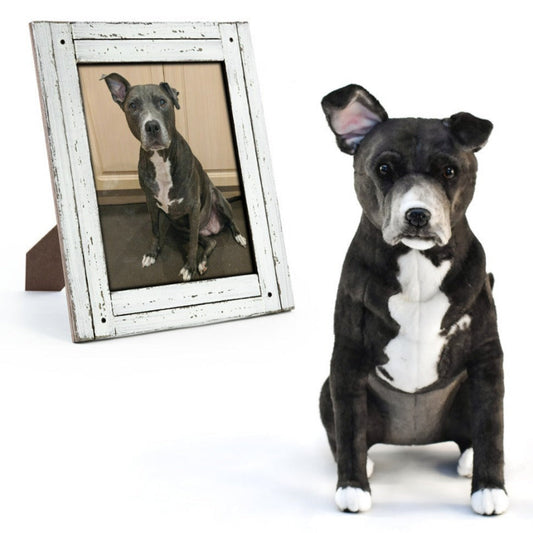 Custom Pet Memorial Plush Cuddle Clone