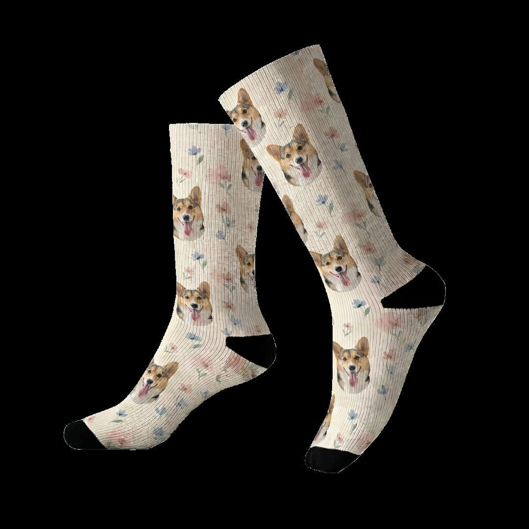 Custom Illustrated Pet Socks