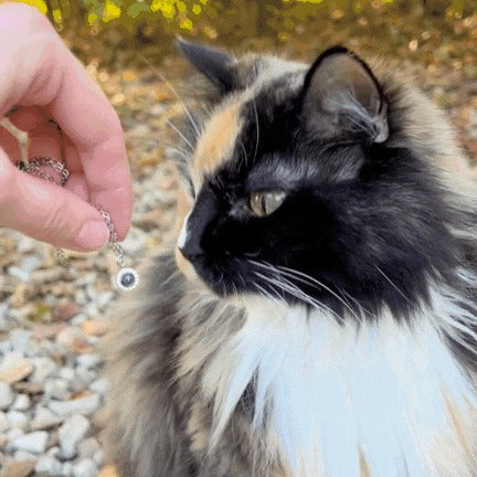 Classic Custom Pet Photo Memory Bracelet