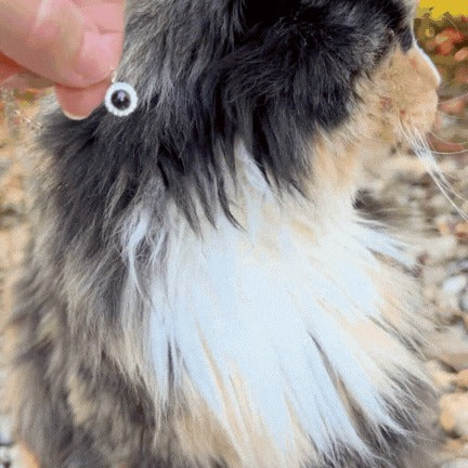 Classic Custom Pet Photo Memory Necklace