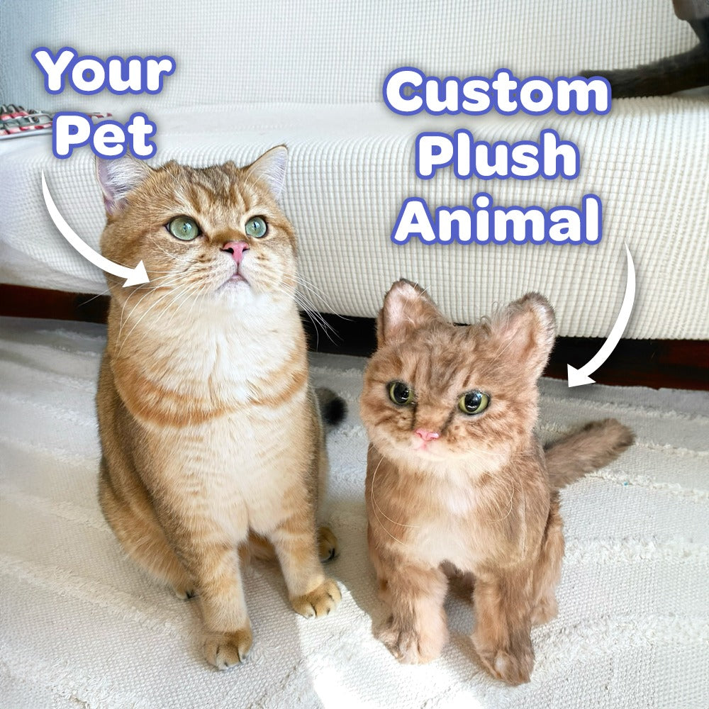 Custom Cat Plush Cuddle Clone