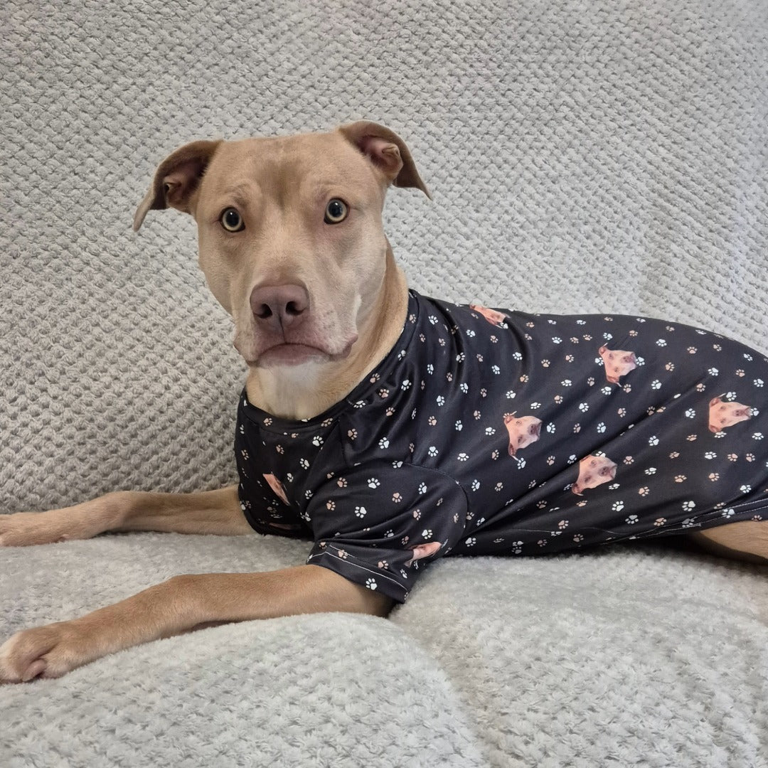 Custom Dog Pajamas