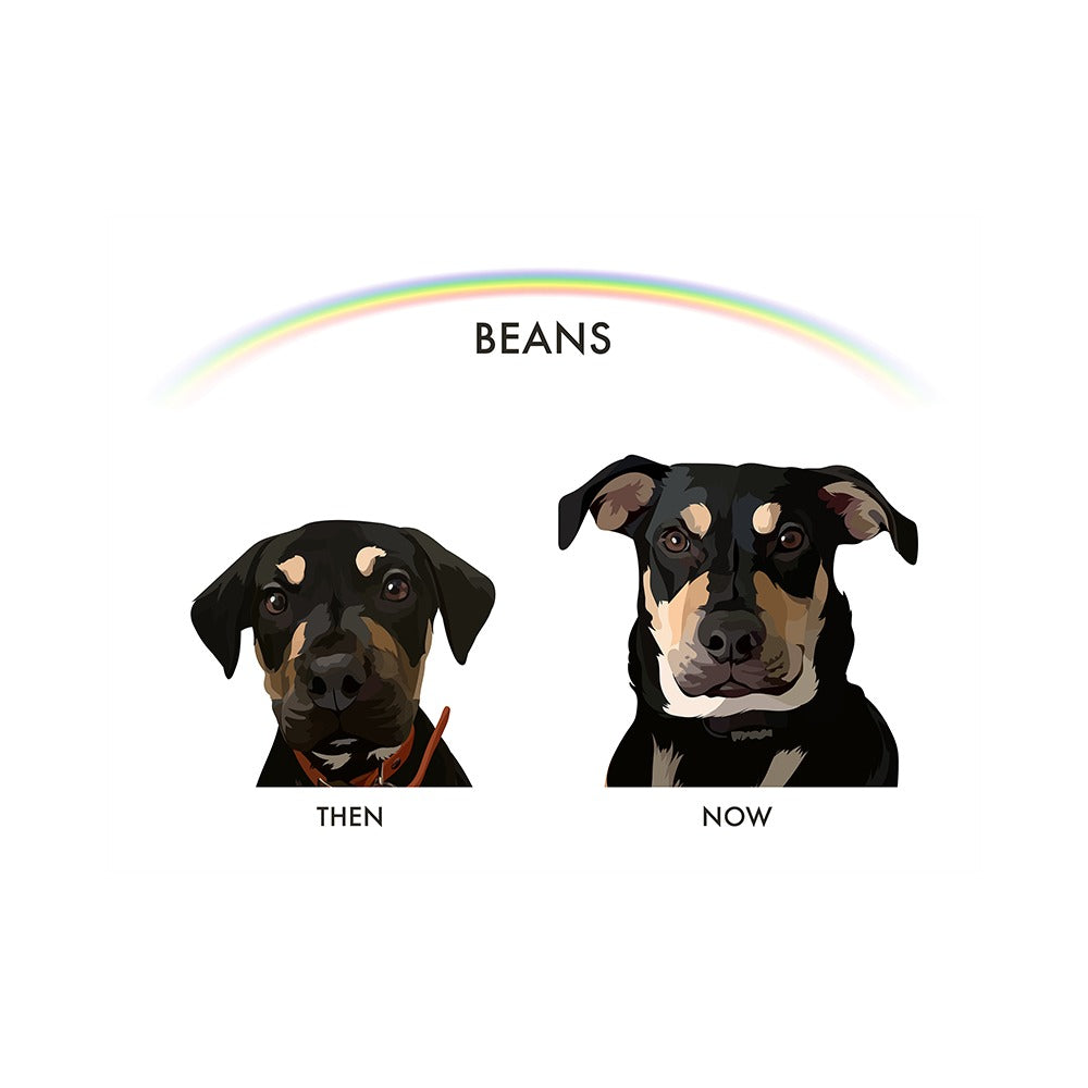 Custom Then vs Now Pet Portrait