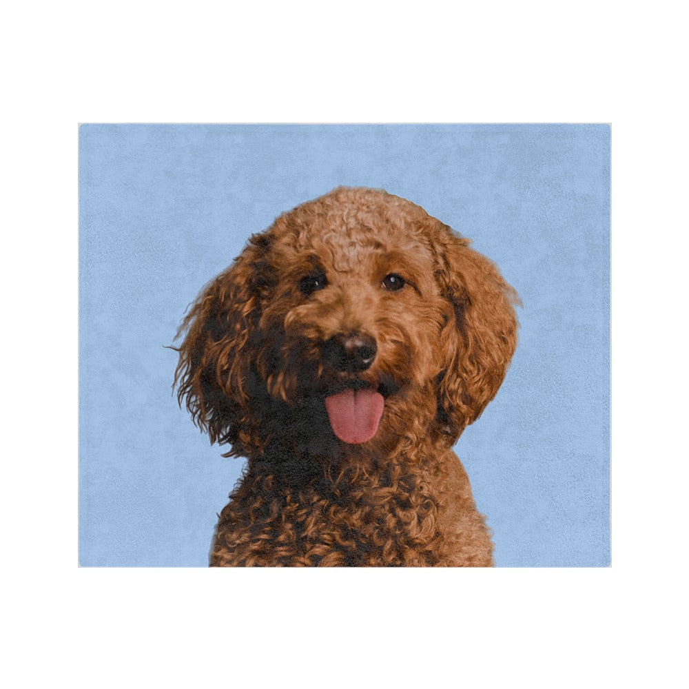 Custom Pet Art Blanket
