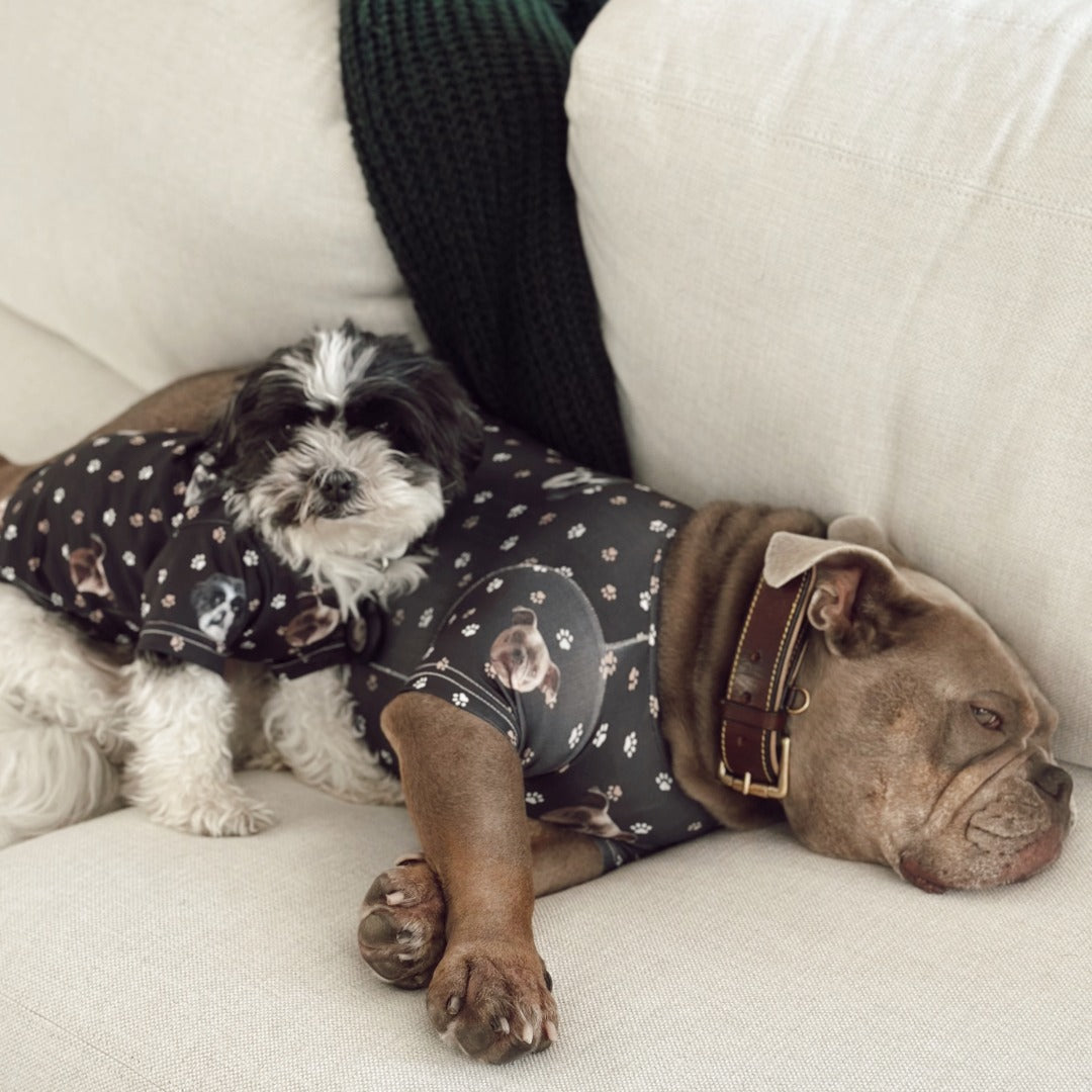 Custom Dog Pajamas