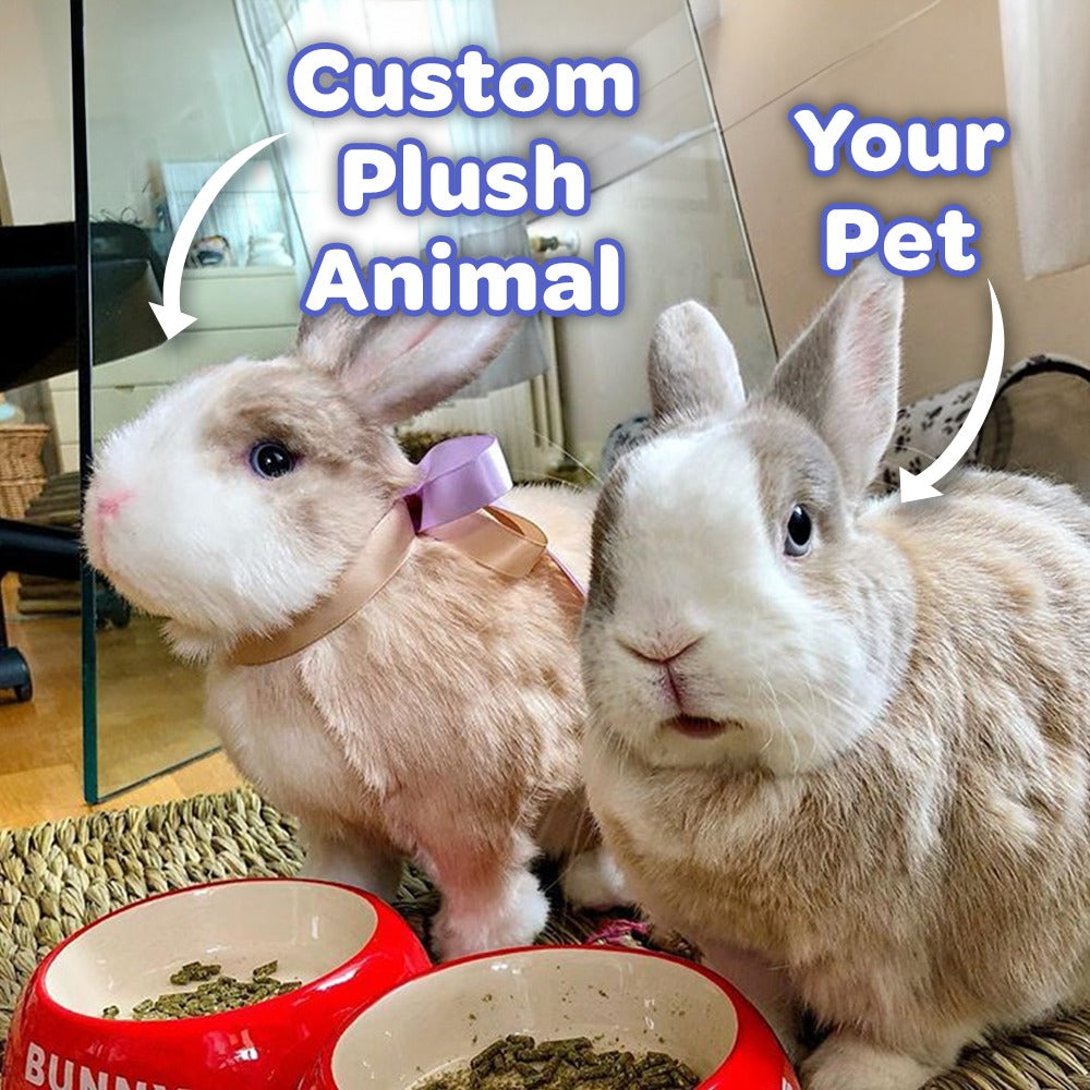 Custom Rabbit Plush Cuddle Clone