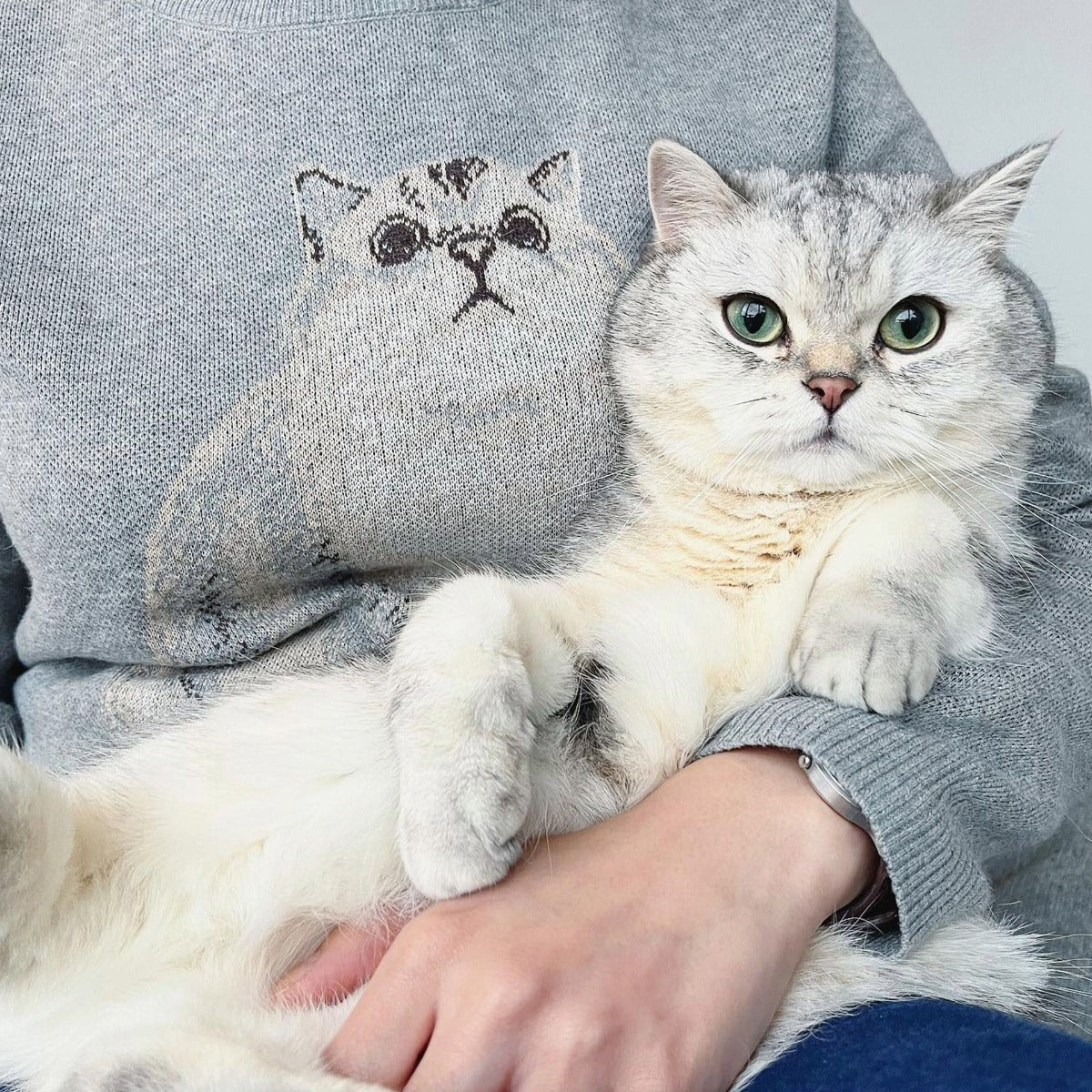Custom Knit Pet Sweater