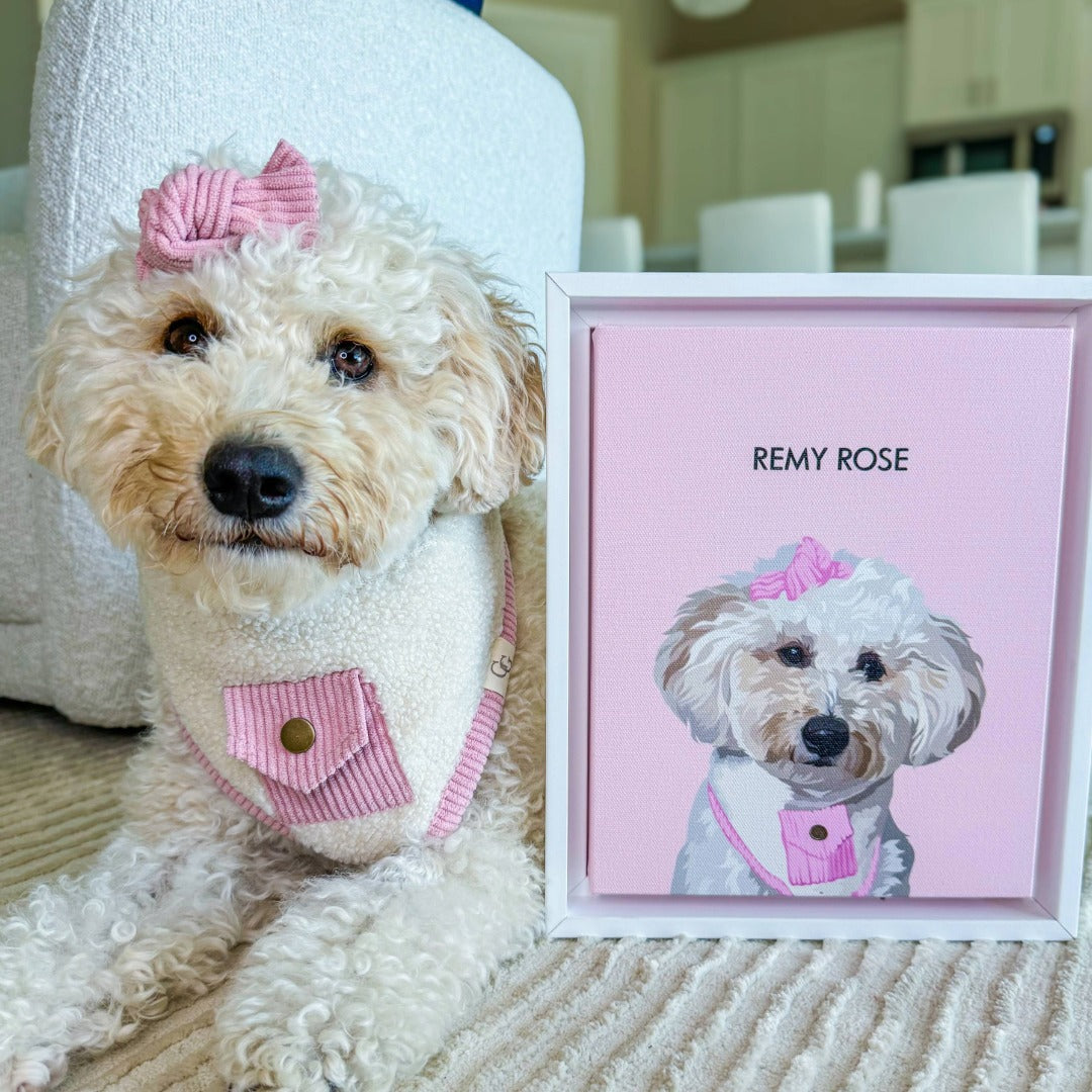 Custom Portrait for One Pet