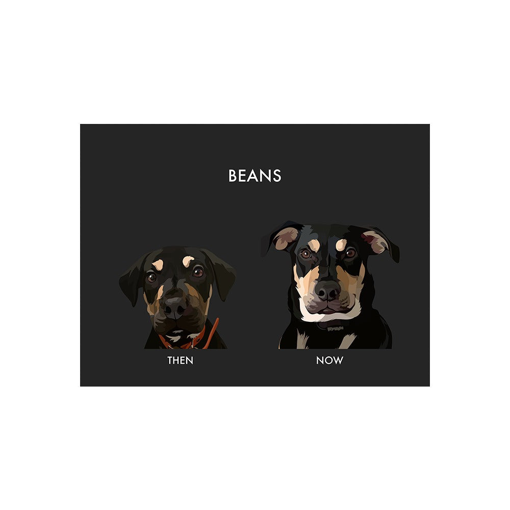 Custom Then vs Now Pet Portrait